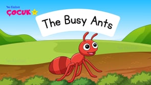 Hikaye Zamanı: The Busy Ants 🐜