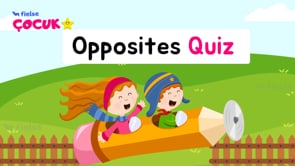 Opposites Quiz 🌻