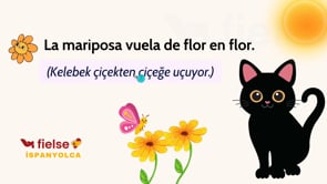 Hikaye Zamanı: El gato y el sol 🐈‍⬛ 📖