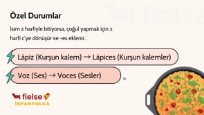 Tekil ve Çoğul İsimler (Singular y Plural)