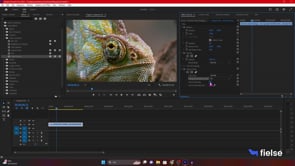 Premiere Pro Video Efektleri: Kapsamlı İnceleme