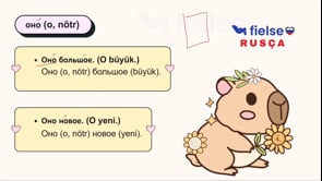 Kişi Zamirleri ve Kullanımı (я, ты, он/она/оно, мы, вы, они)