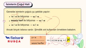 İsimlerde Cinsiyet, Tekil-Çoğul Ayrımı ve Sıfat Uyumu