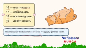 Sayılar (Числа)  0 - 100