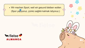 Neden? Çünkü… – “weil” ile Neden-Sonuç Cümleleri 🤔