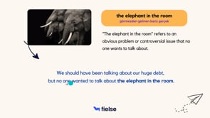 Business Expressions 9: Elephant in the Room