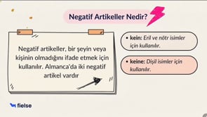 Olumsuz Artikeller | Negative Artikel 📚