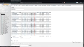 PhpMyAdmin Arayüzü Tanıtımı