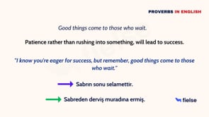 Common English Proverbs: Lesson 8