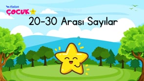 20 ile 30 Arası Sayılar 🐑