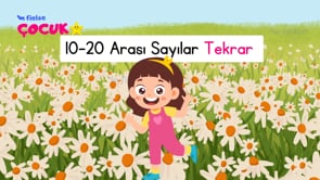 10 ile 20 Arasındaki Sayılar Tekrar I 🐝