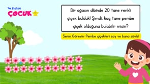 20 ile 30 Arası Sayılar Tekrar I 🌷