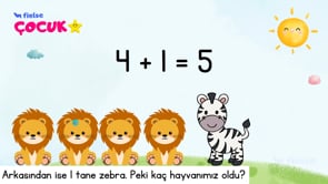 Dersimizin Konusu: Toplama Alıştırmaları I 🤓