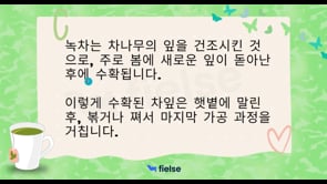 Hikayelerle Korecemizi Pekiştiriyoruz - 한국의 전통 차: 녹차 