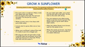 Reading Practice: Grow a sunflower 🌻