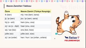 Nesne Zamirleri (hem, haar, hen, hun) ve İşaret Zamirleri