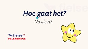 Yaygın Günlük İfadeler (Veelgebruikte Dagelijkse Uitdrukkingen)