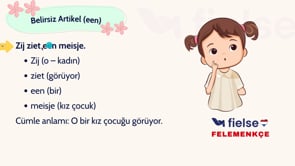 Belirli ve Belirsiz Artikeller: de, het, een Kullanımı