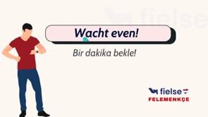 Niet & Geen ile Olumsuzluk, Basit Emirler ve Sıklık Zarfları