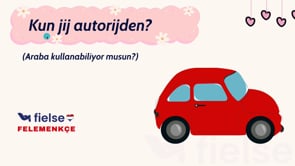 Modal Fiiller: “kunnen” ve “willen”