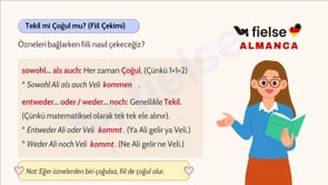 Çift Parçalı Bağlaçlar II: "weder... noch" & "entweder... oder" 