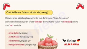 Adjektivdeklination III: Artikelsiz (Nullartikel) Kullanım ve İstisnalar