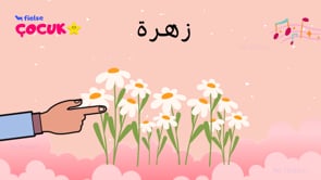 Doğa Hakkında Kelimeler 🌴 🌺 🌥️ 🌈